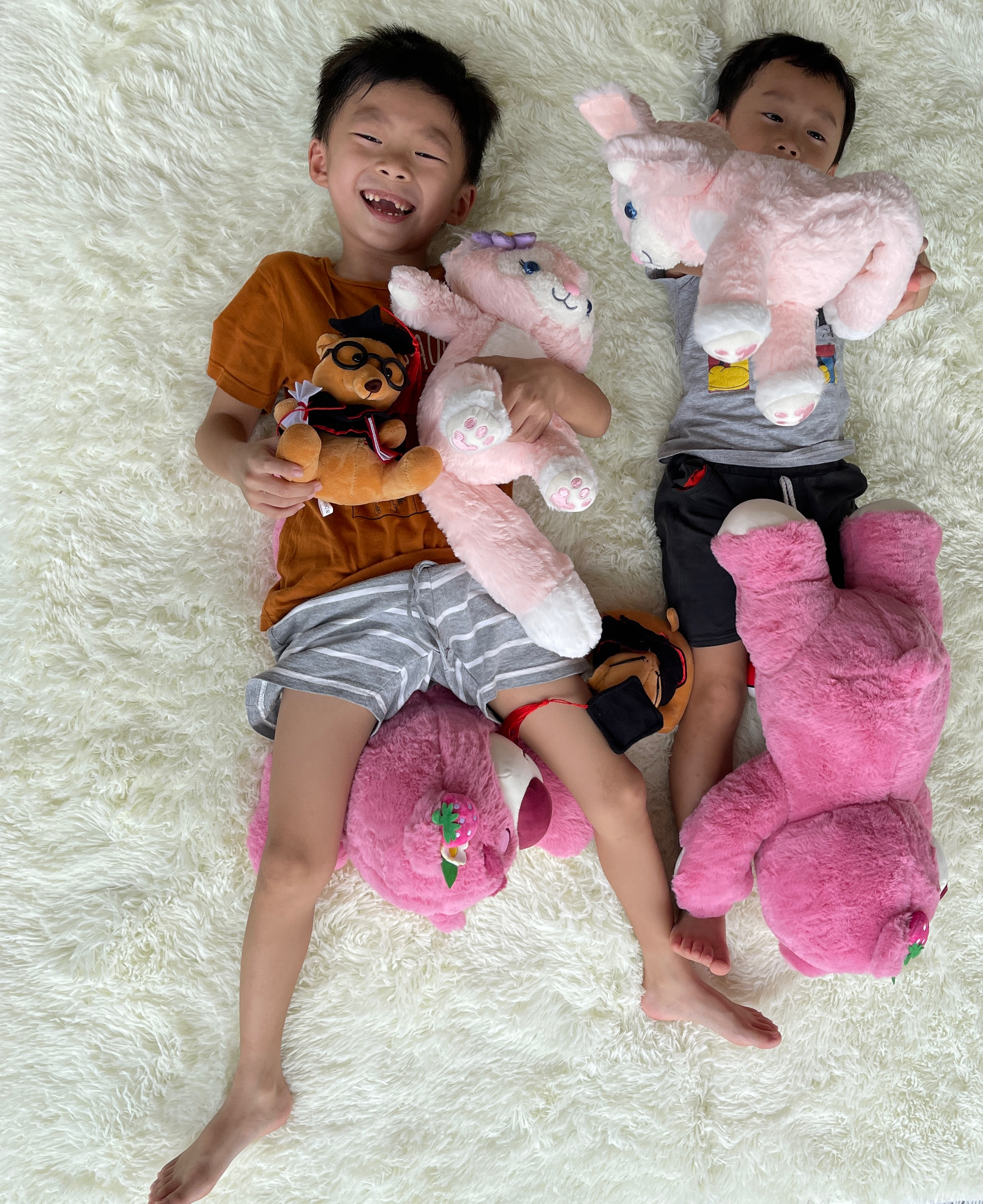 Lots-O'-Huggin' Bear Plush 草莓熊-Pink | Plush Toys