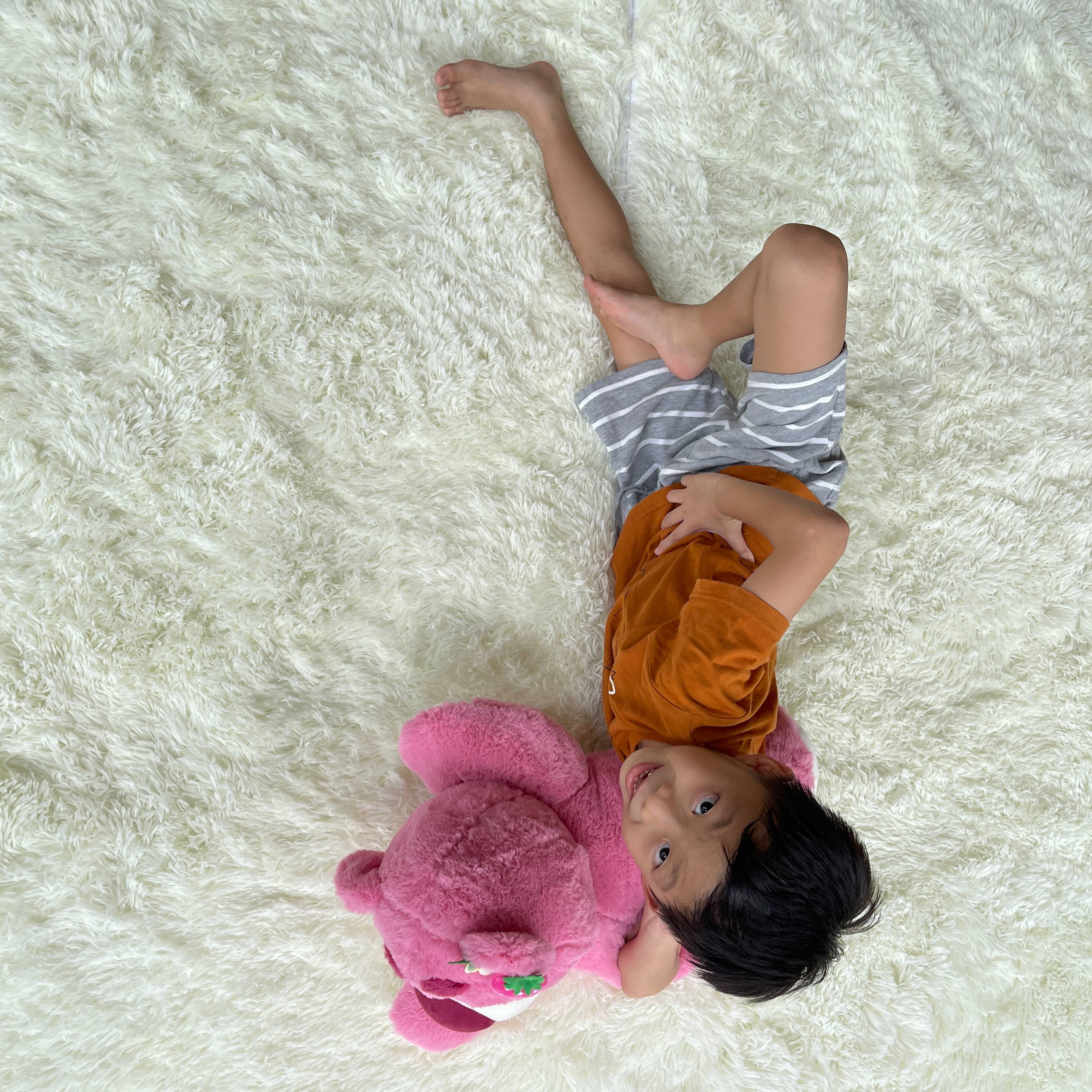 Lots-O'-Huggin' Bear Plush 草莓熊-Pink | Plush Toys