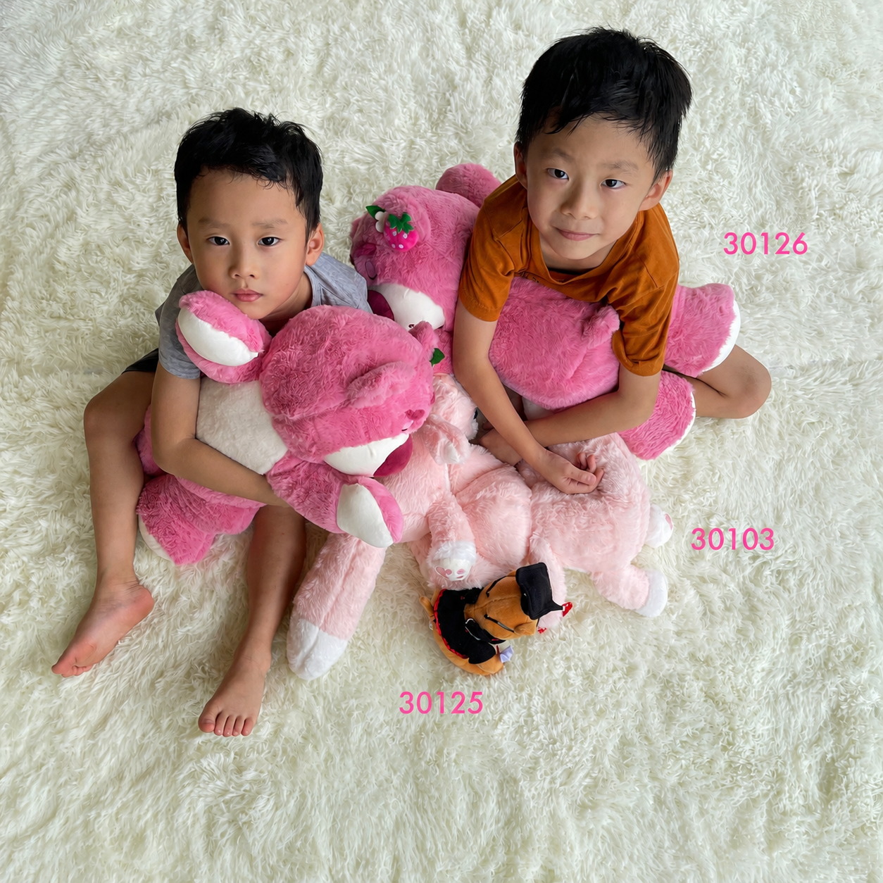Lots-O'-Huggin' Bear Plush 草莓熊-Pink | Plush Toys