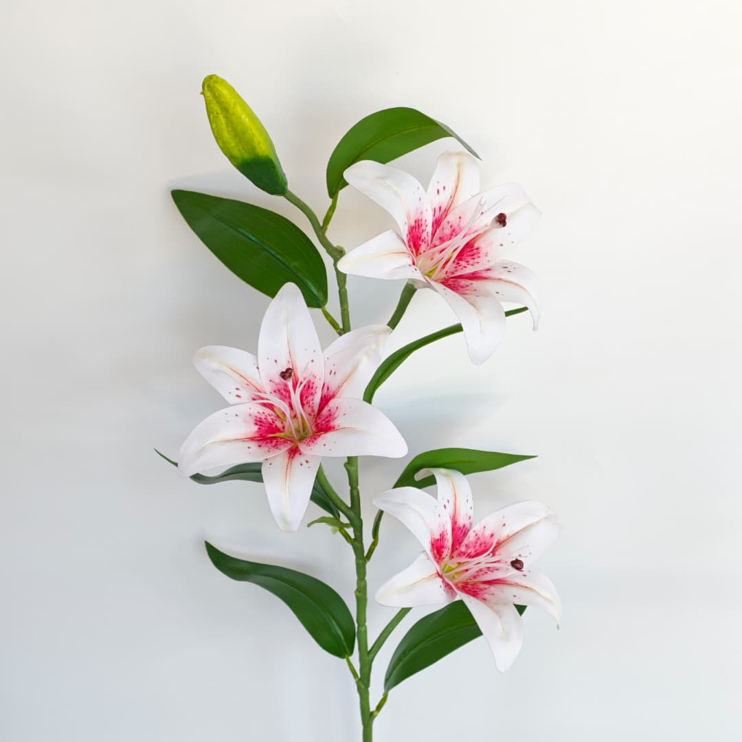Tiger Lily 101cm x 4 | Tall Flowers