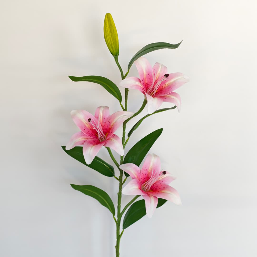 Tiger Lily 101cm x 4 | Tall Flowers