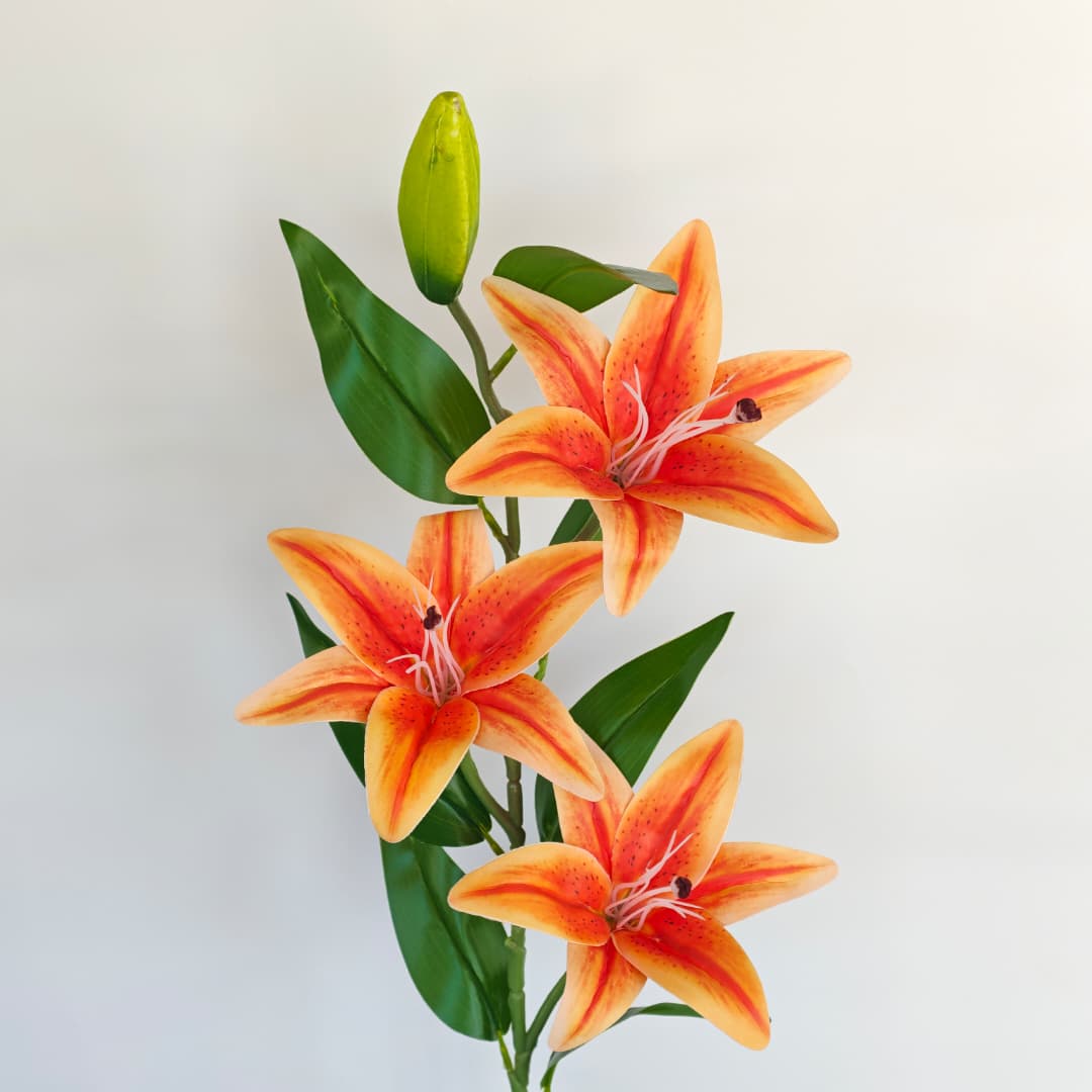 Tiger Lily 101cm x 4 | Tall Flowers