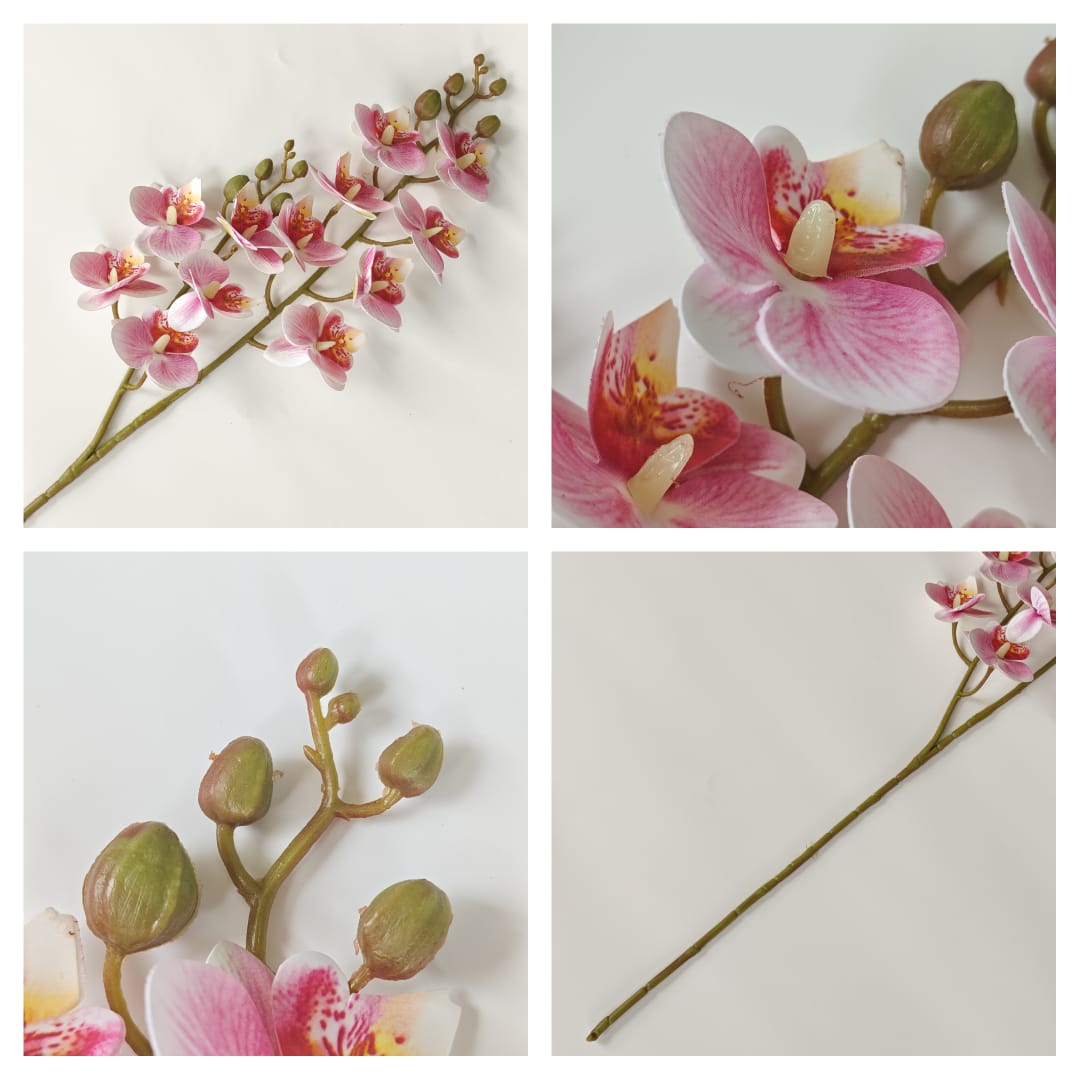 3D Phalaenopsis Orchid x 2 (65cm) | Tall Flowers