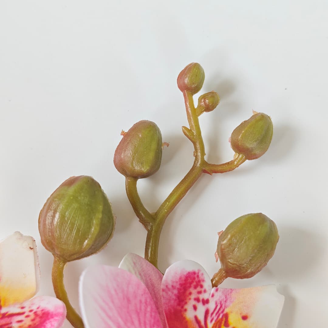 3D Phalaenopsis Orchid x 2 (65cm) | Tall Flowers