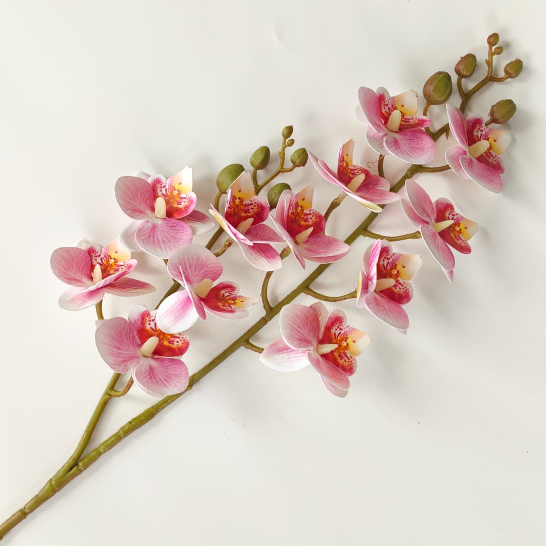 3D Phalaenopsis Orchid x 2 (65cm) | Tall Flowers