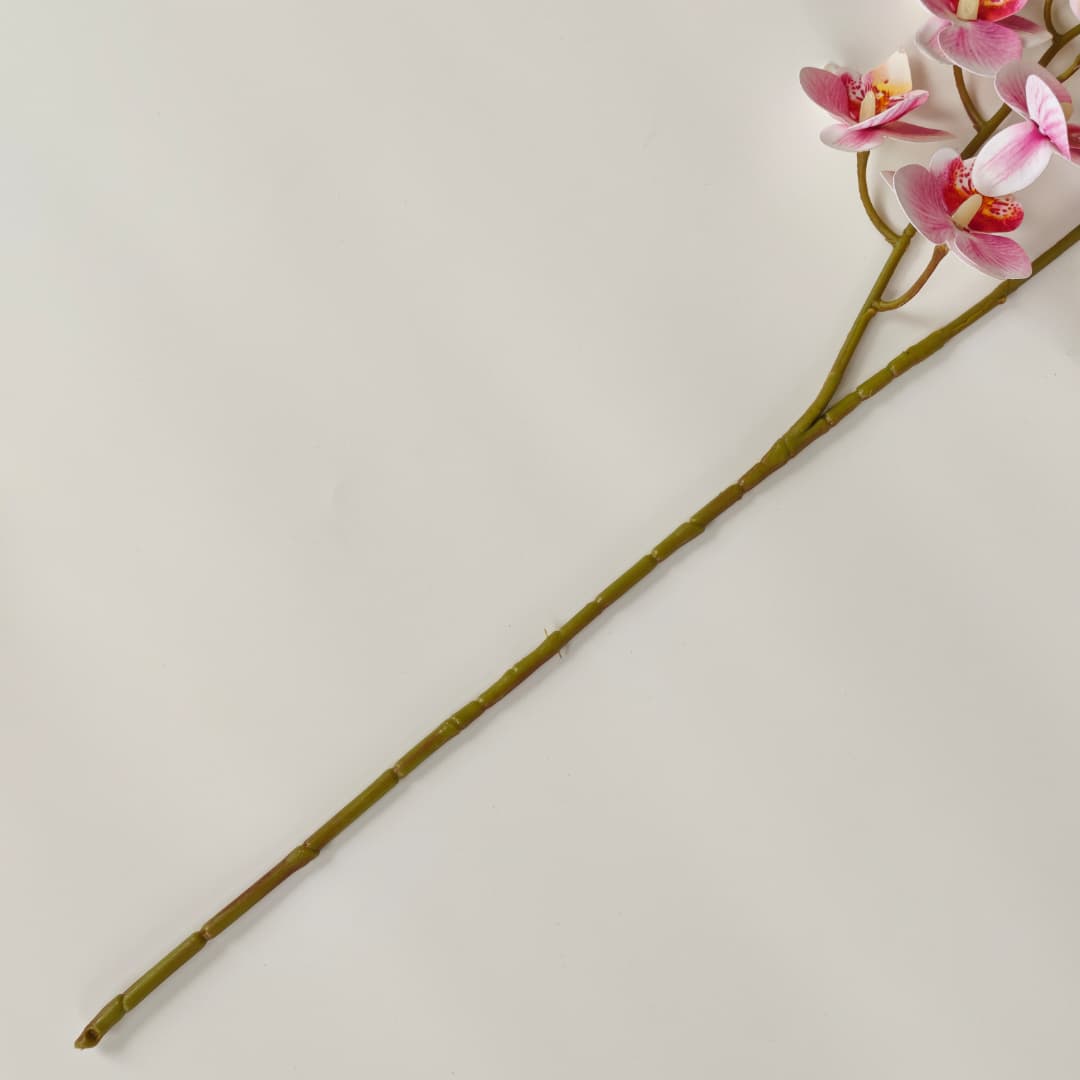 3D Phalaenopsis Orchid x 2 (65cm) | Tall Flowers