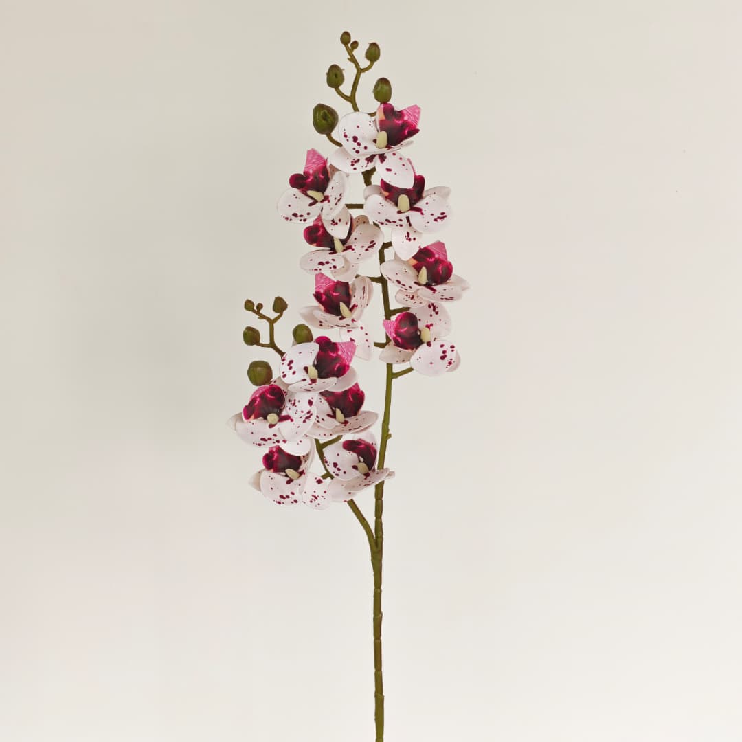 3D Phalaenopsis Orchid x 2 (65cm) | Tall Flowers