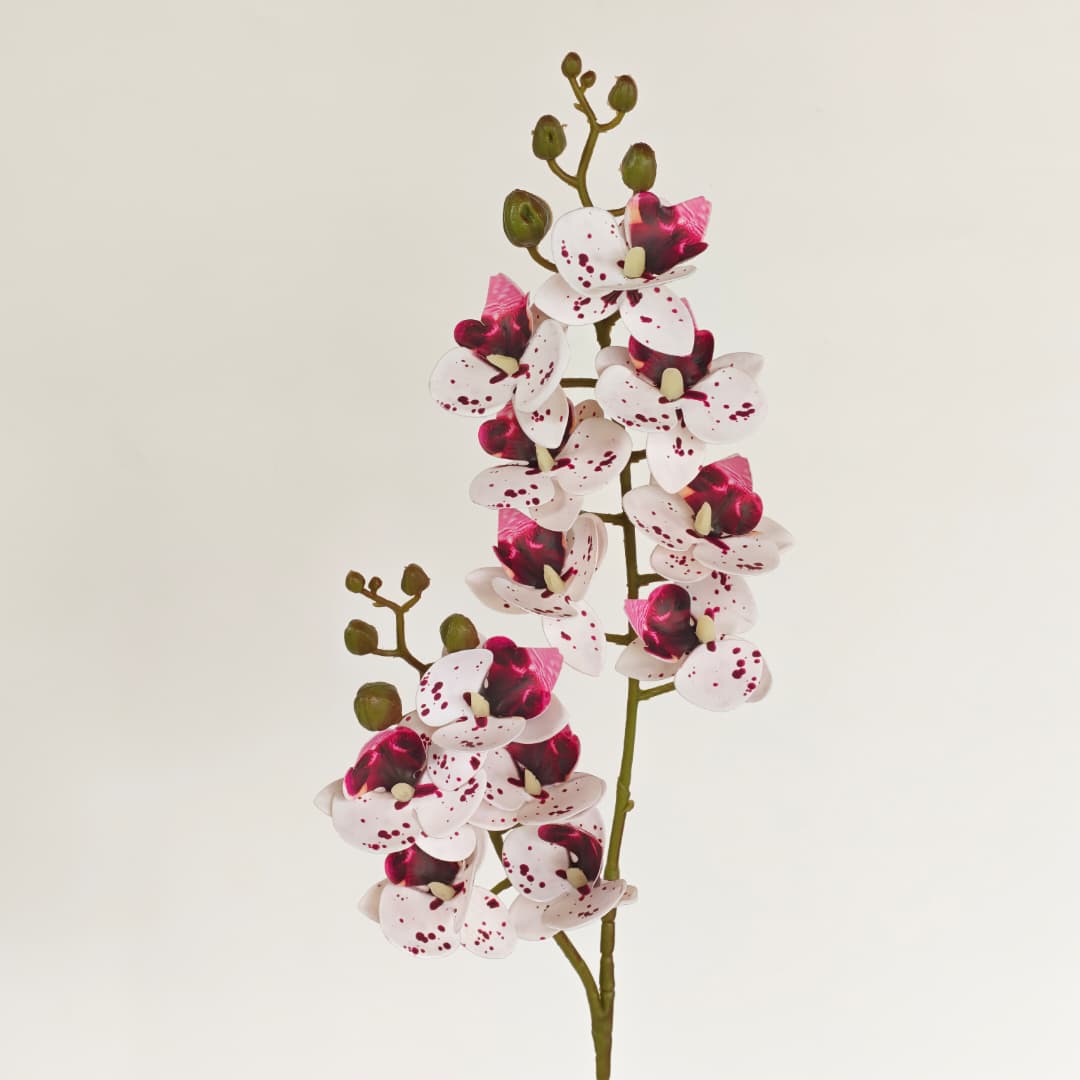 3D Phalaenopsis Orchid x 2 (65cm) | Tall Flowers