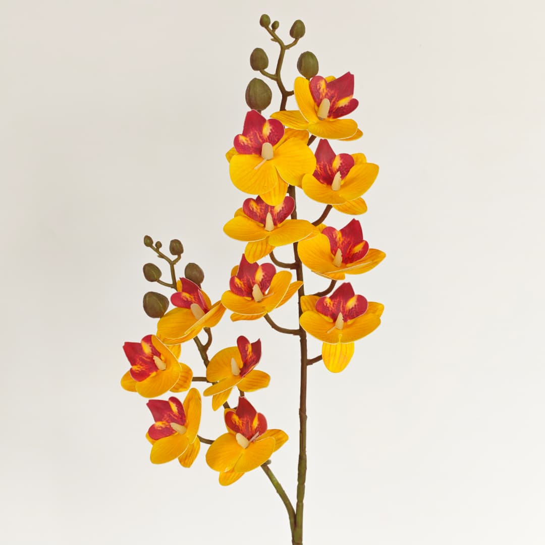 3D Phalaenopsis Orchid x 2 (65cm) | Tall Flowers