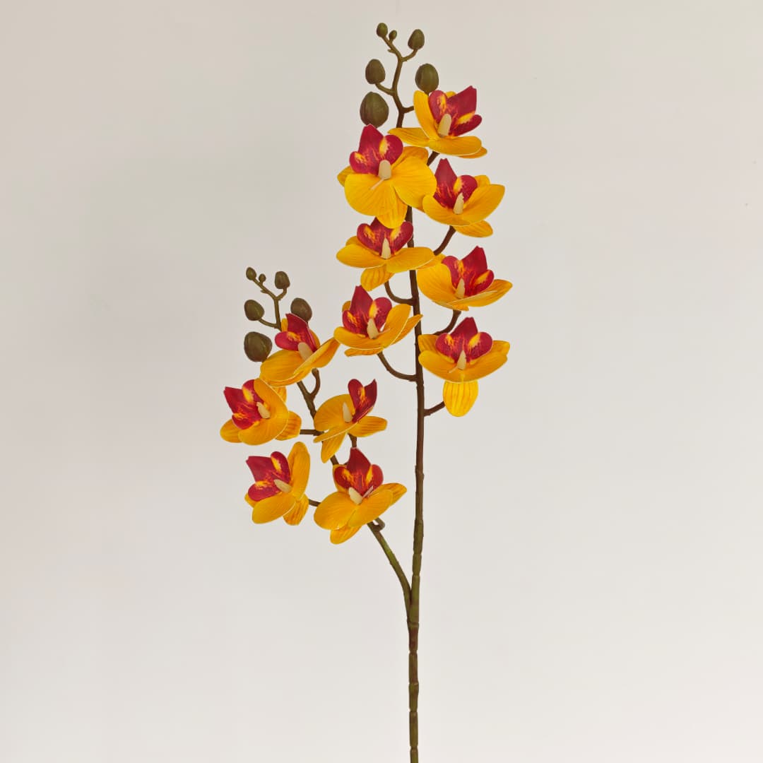 3D Phalaenopsis Orchid x 2 (65cm) | Tall Flowers
