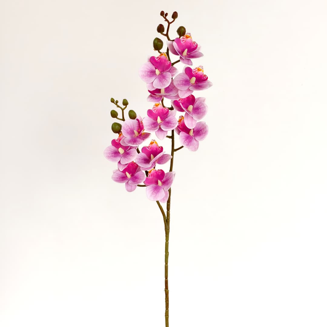 3D Phalaenopsis Orchid x 2 (65cm) | Tall Flowers