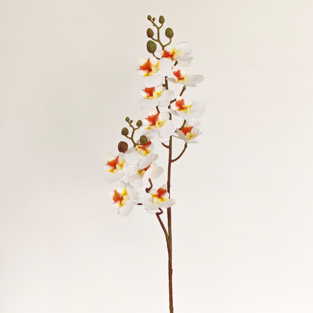 3D Phalaenopsis Orchid x 2 (65cm) | Tall Flowers