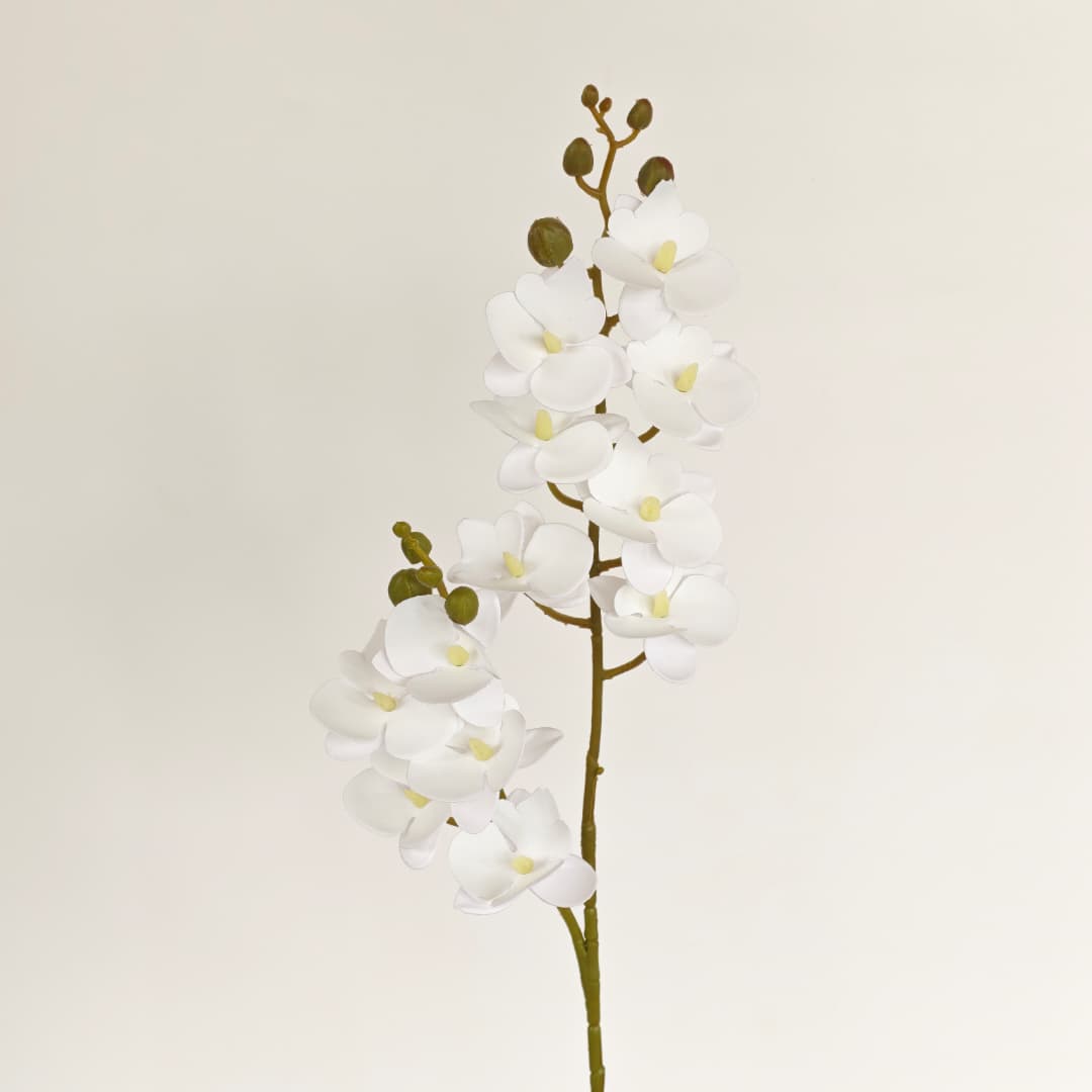 3D Phalaenopsis Orchid x 2 (65cm) | Tall Flowers