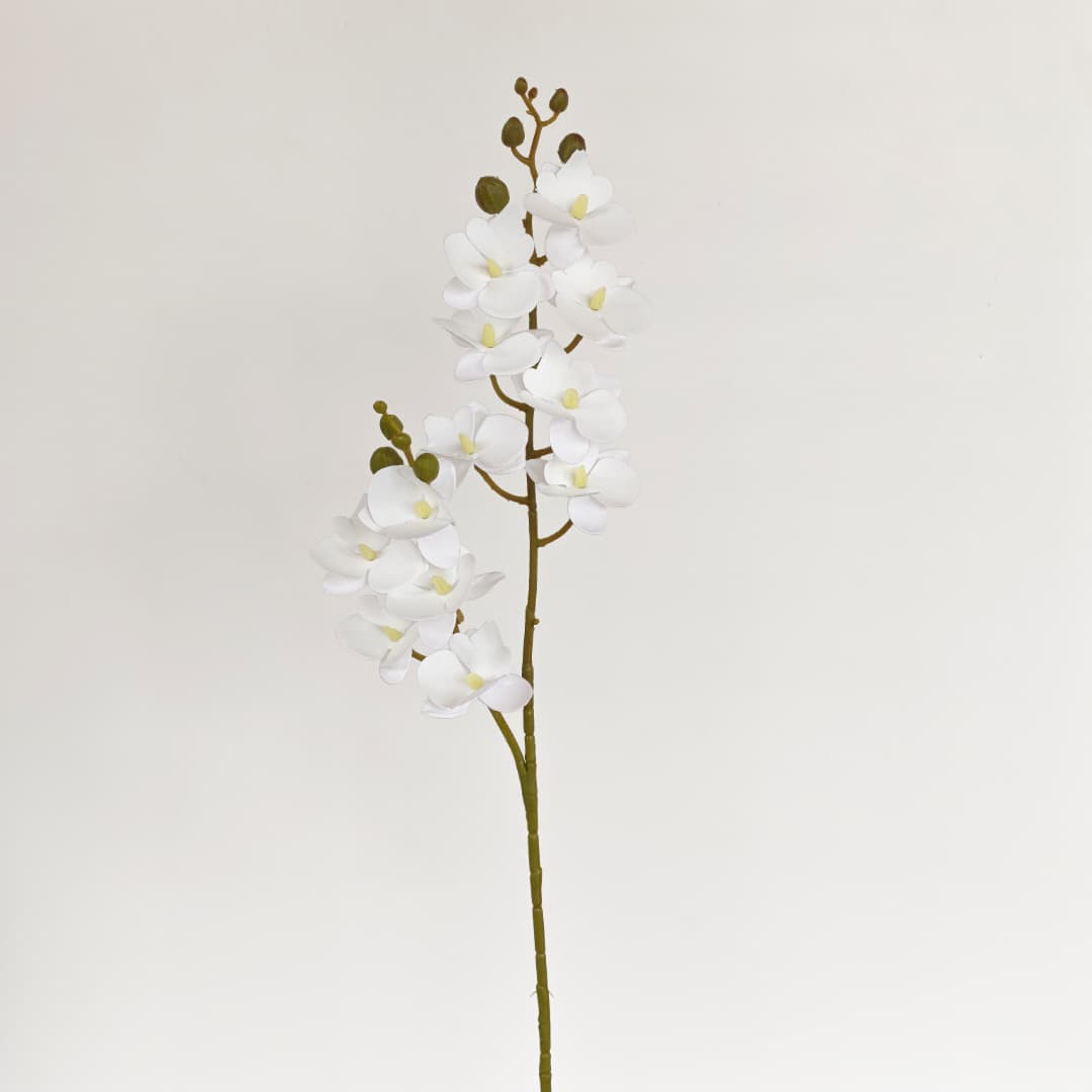 3D Phalaenopsis Orchid x 2 (65cm) | Tall Flowers