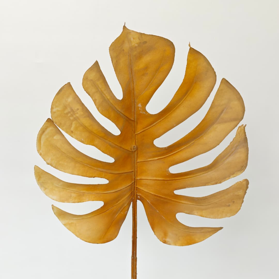 Monstera Leaf (73cm) | Fillers