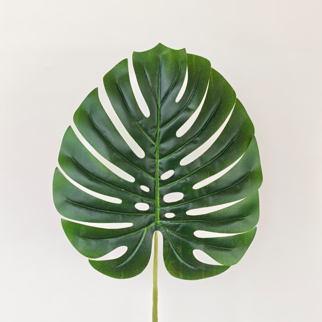 Monstera Leaf (70cm) 1PC 龟背叶 | Fillers