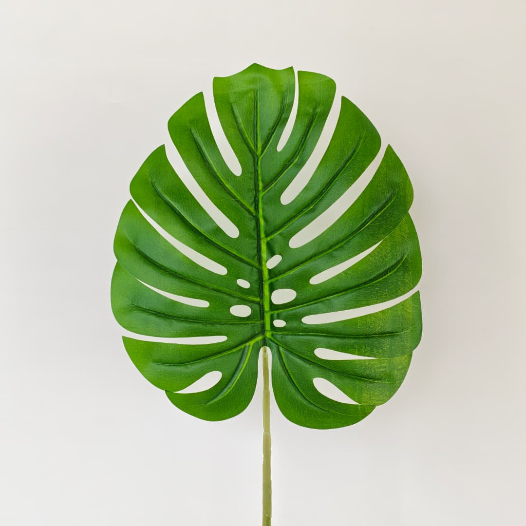 Monstera Leaf 12pcs (70cm) 龟背叶 | Fillers
