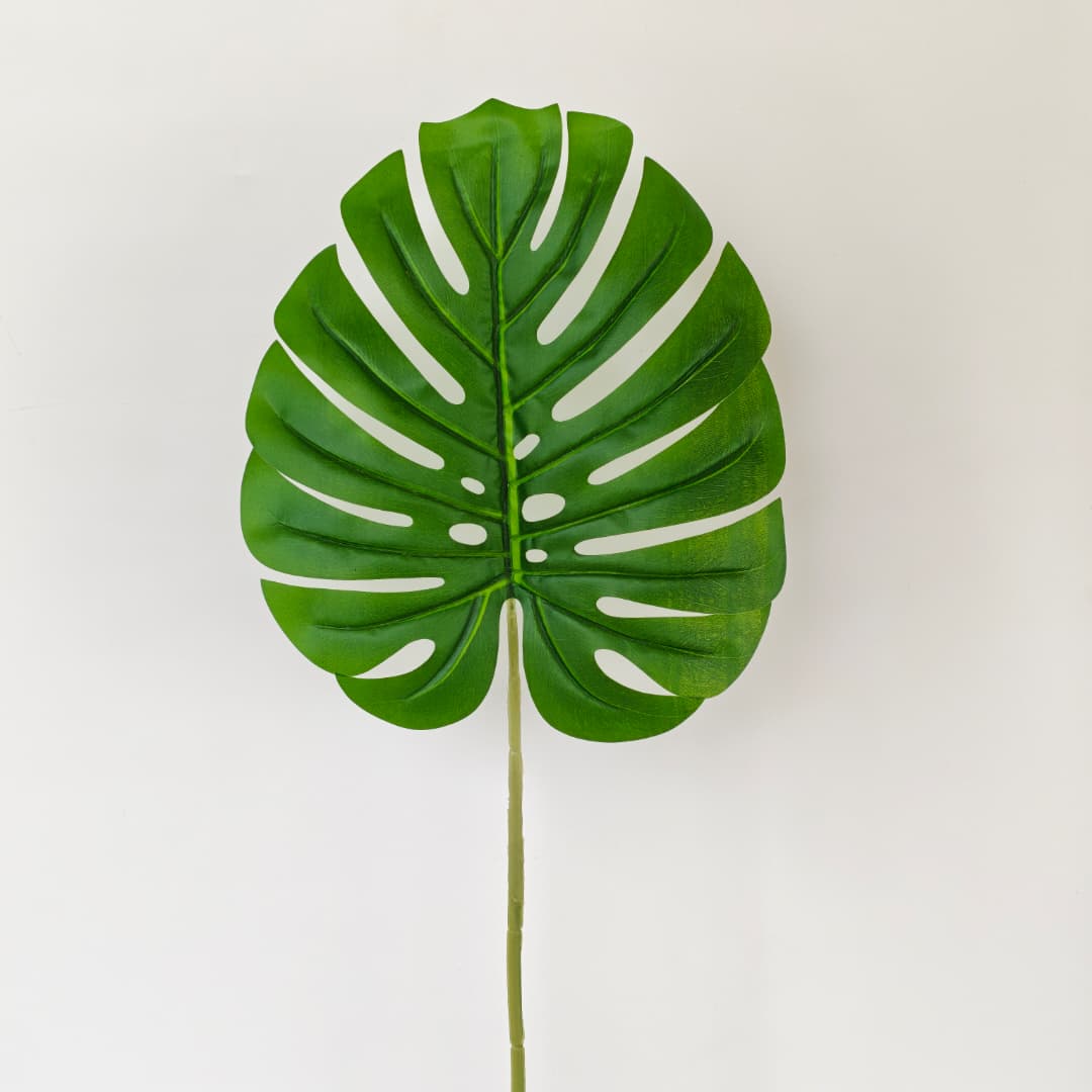 Monstera Leaf 12pcs (70cm) 龟背叶 | Fillers