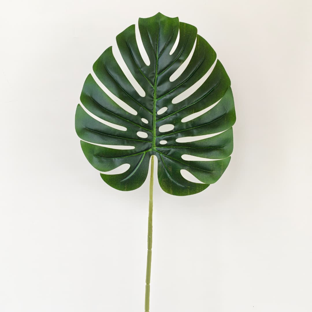 Monstera Leaf 12pcs (70cm) 龟背叶 | Fillers