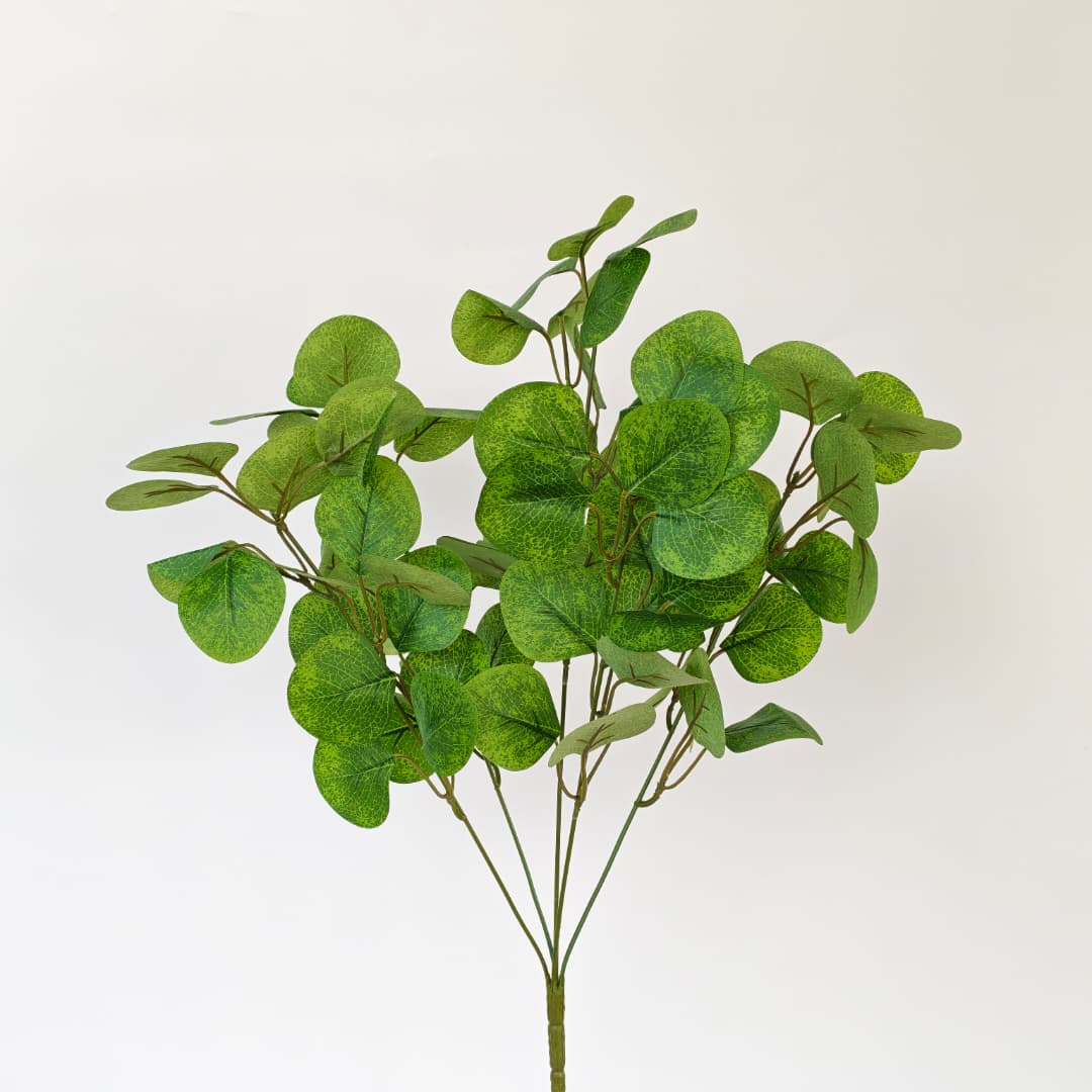 Big Eucalyptus Leaf-Green | 