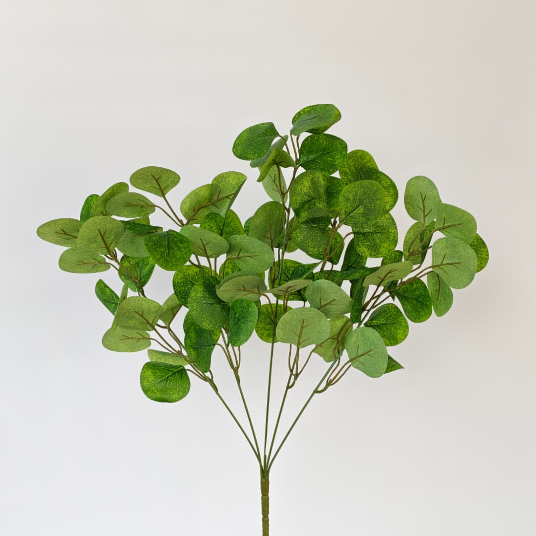 Big Eucalyptus Leaf-Green | Fillers