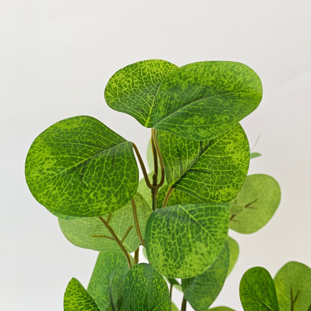 Big Eucalyptus Leaf-Green | Fillers