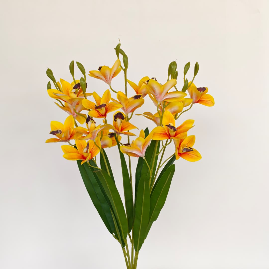Cymbidium Orchid x 5 | Flowers & Greenery