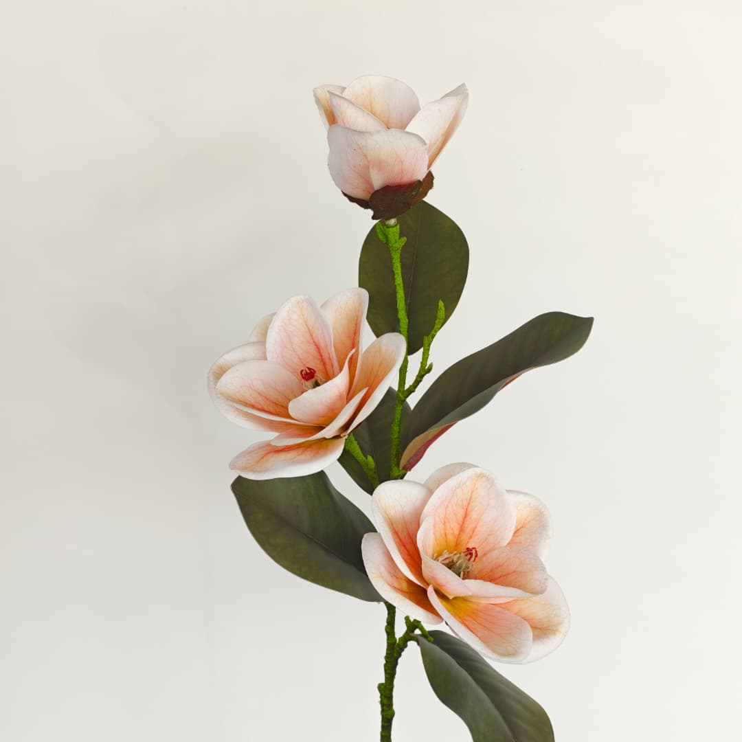 Magnolia x 3 | Tall Flowers
