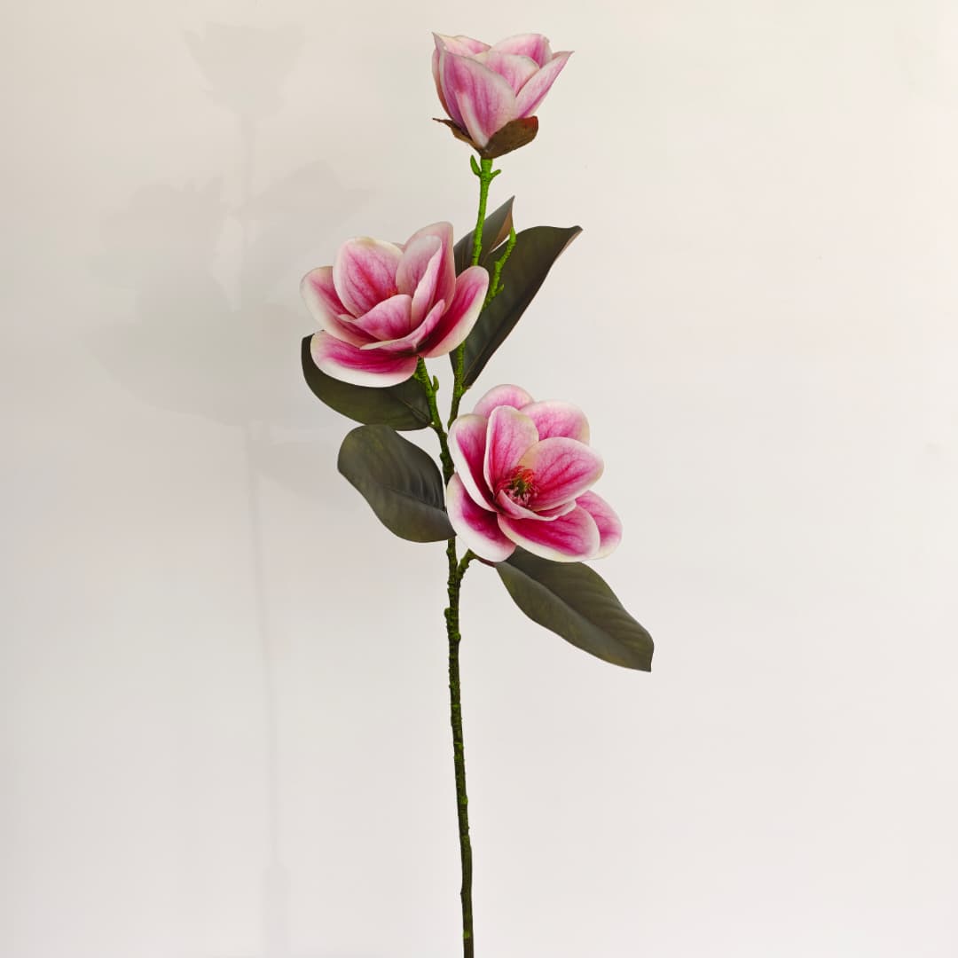 Magnolia x 3 | Tall Flowers