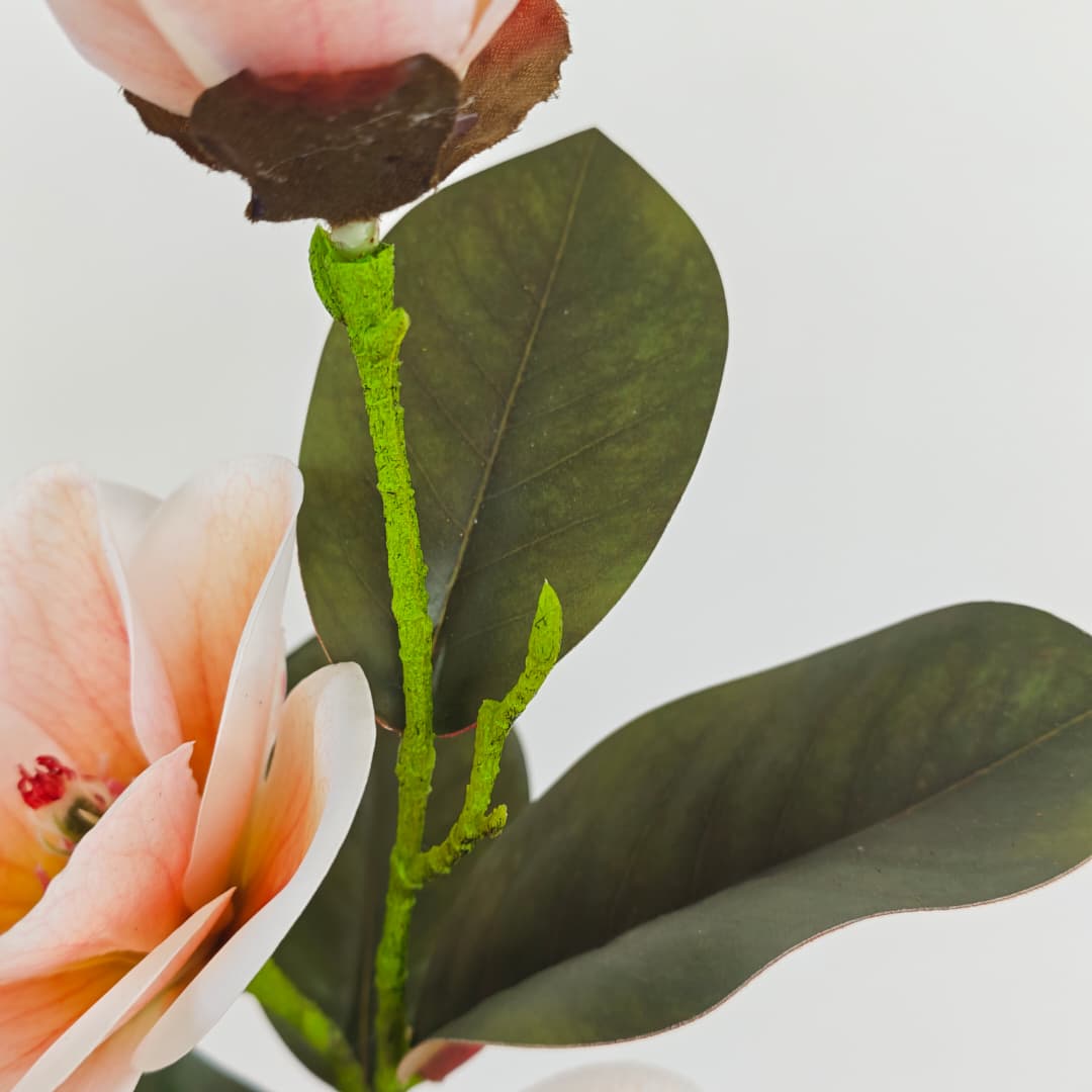 Magnolia x 3 | Tall Flowers