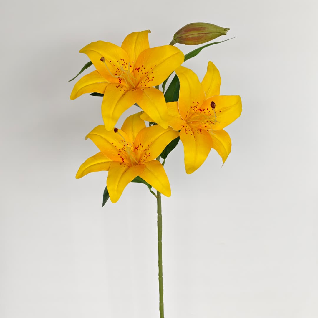 Tiger Lily 100cm x 4 | 