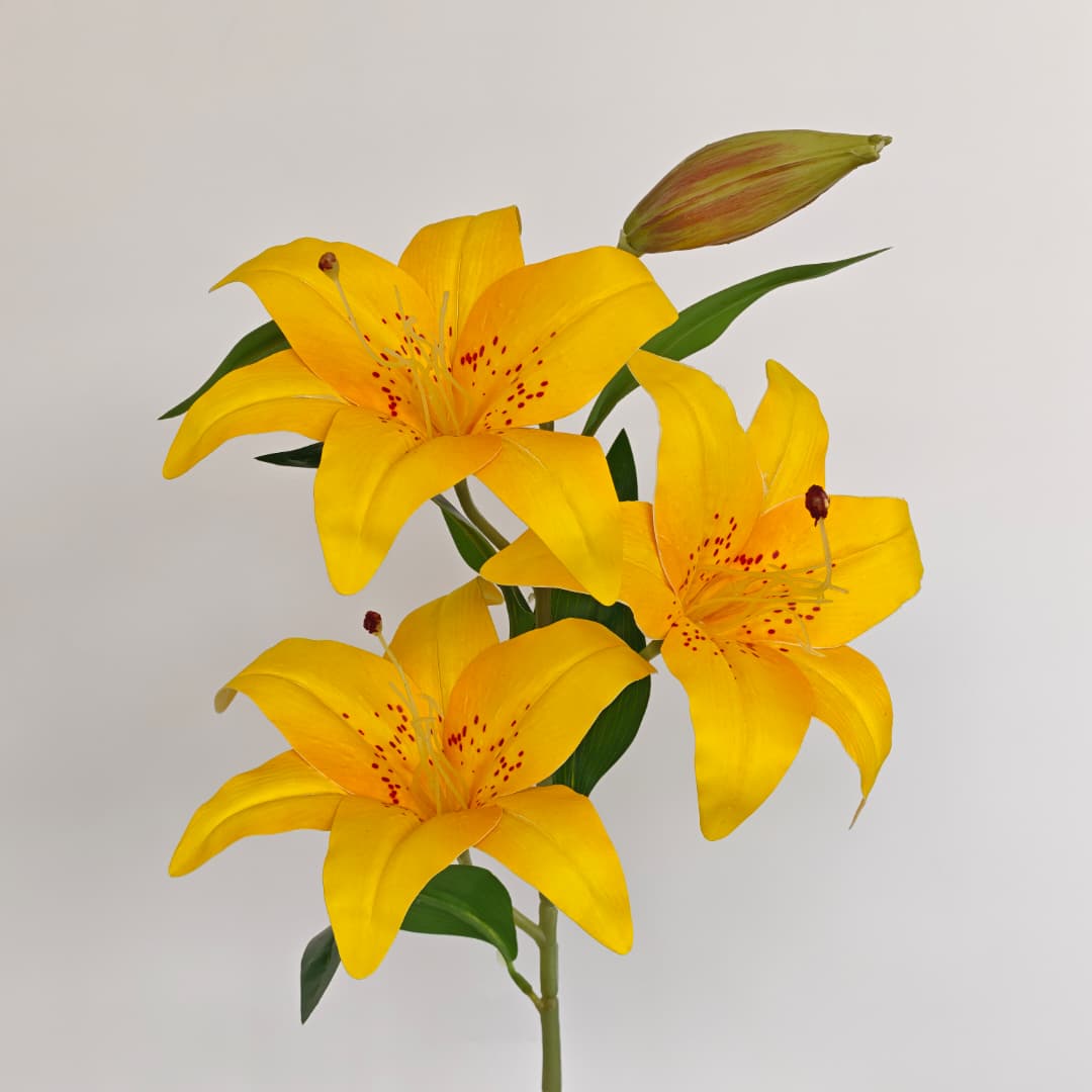 Tiger Lily 100cm x 4 | Tall Flowers