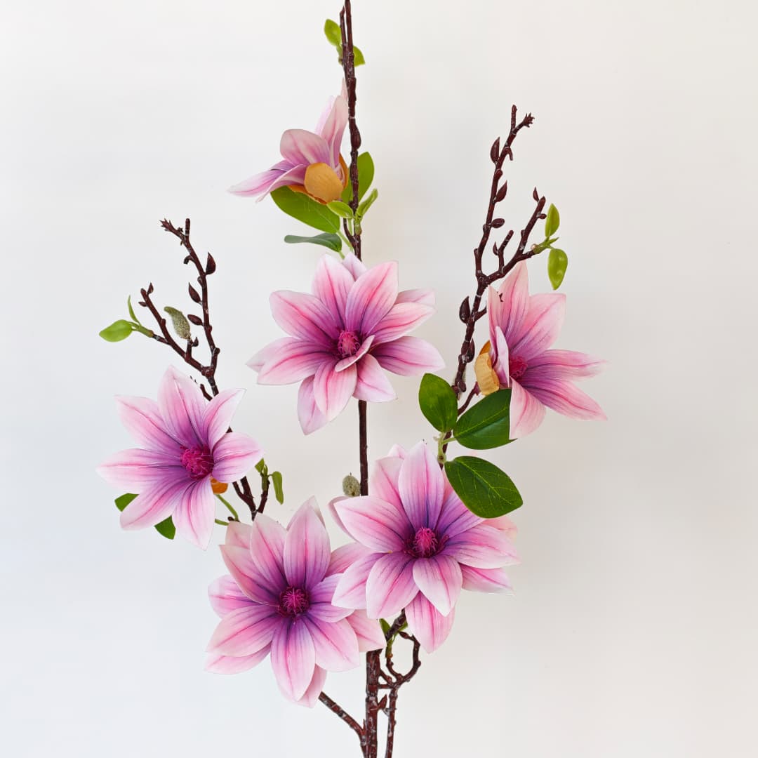 Magnolia 86cm x 6 | 