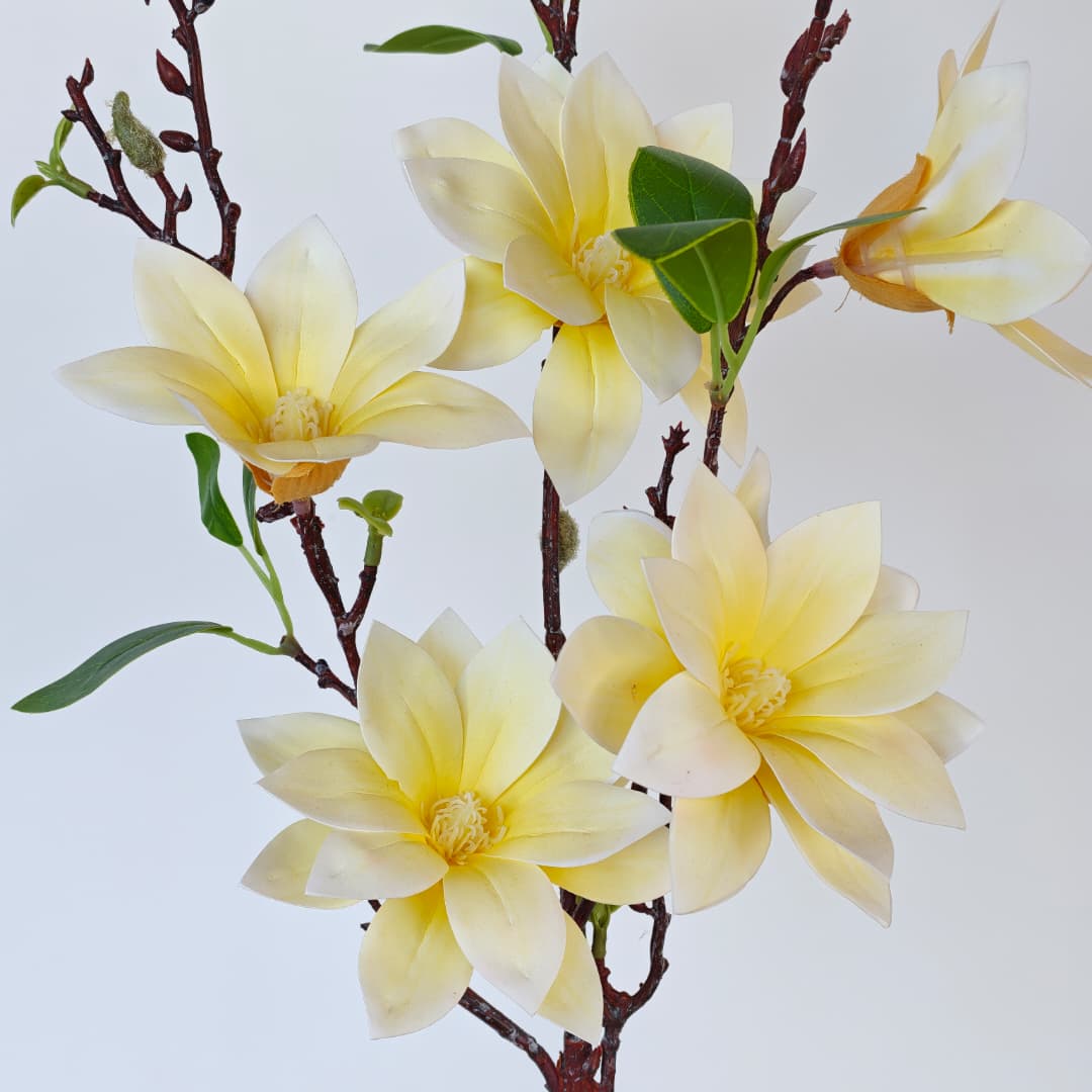 Magnolia 86cm x 6 | Tall Flowers