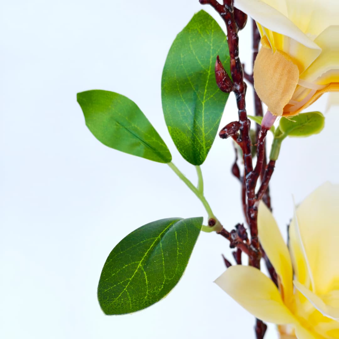 Magnolia 86cm x 6 | Tall Flowers