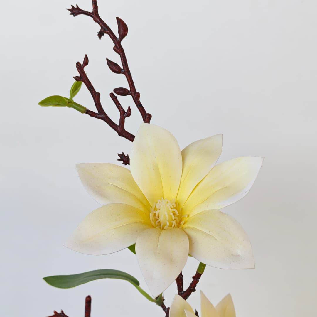Magnolia 86cm x 6 | Tall Flowers