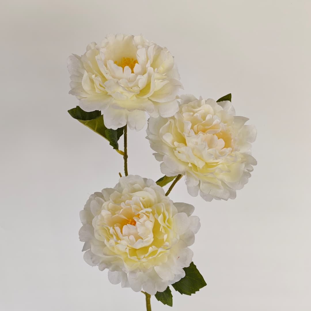 Dry Peony Spray 88cm x 3 | Tall Flowers