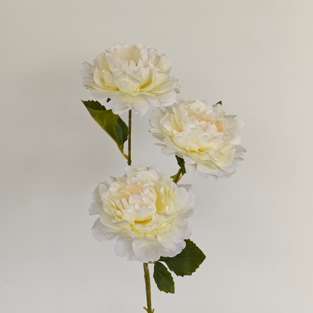 Dry Peony Spray 88cm x 3 | 