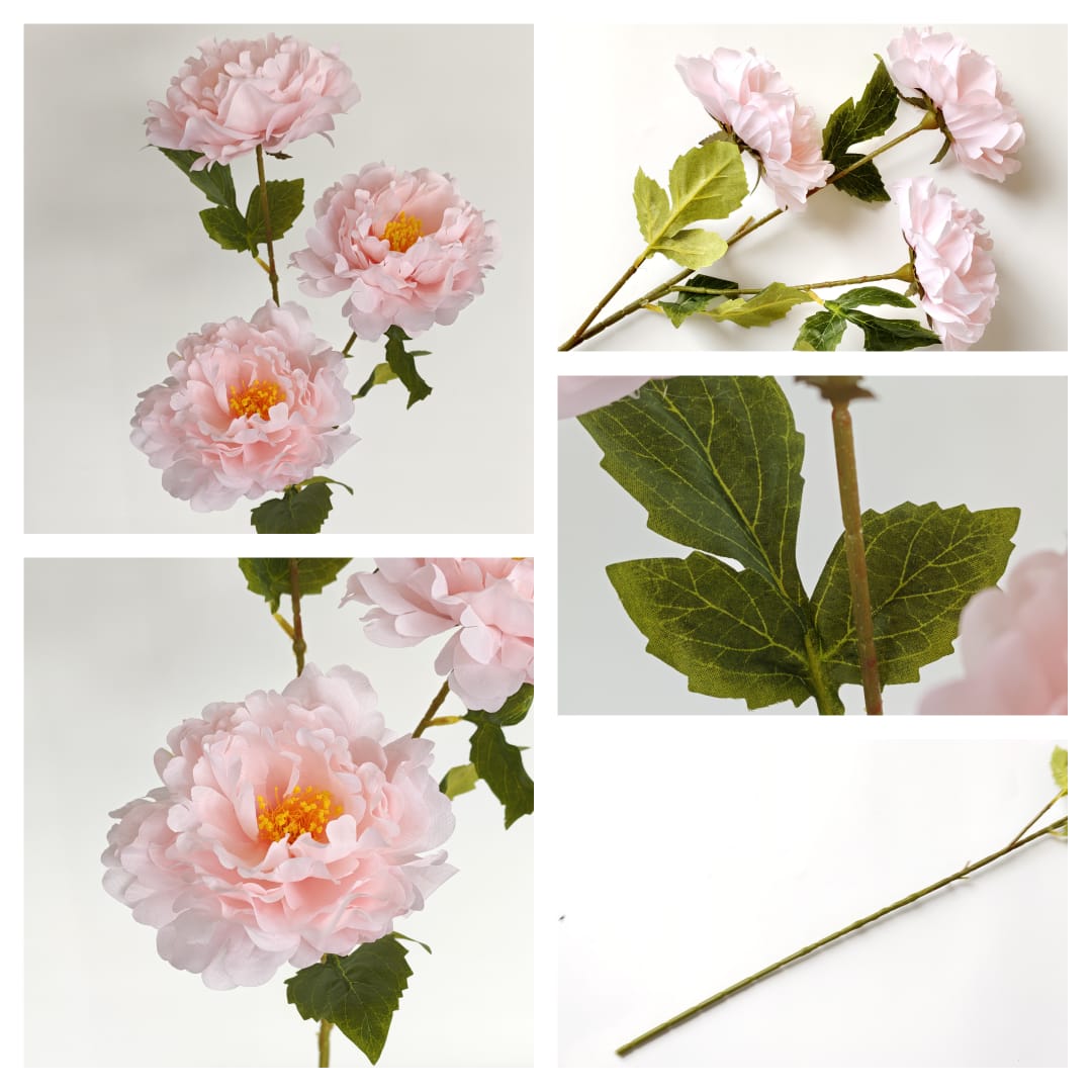 Dry Peony Spray 88cm x 3 | Tall Flowers