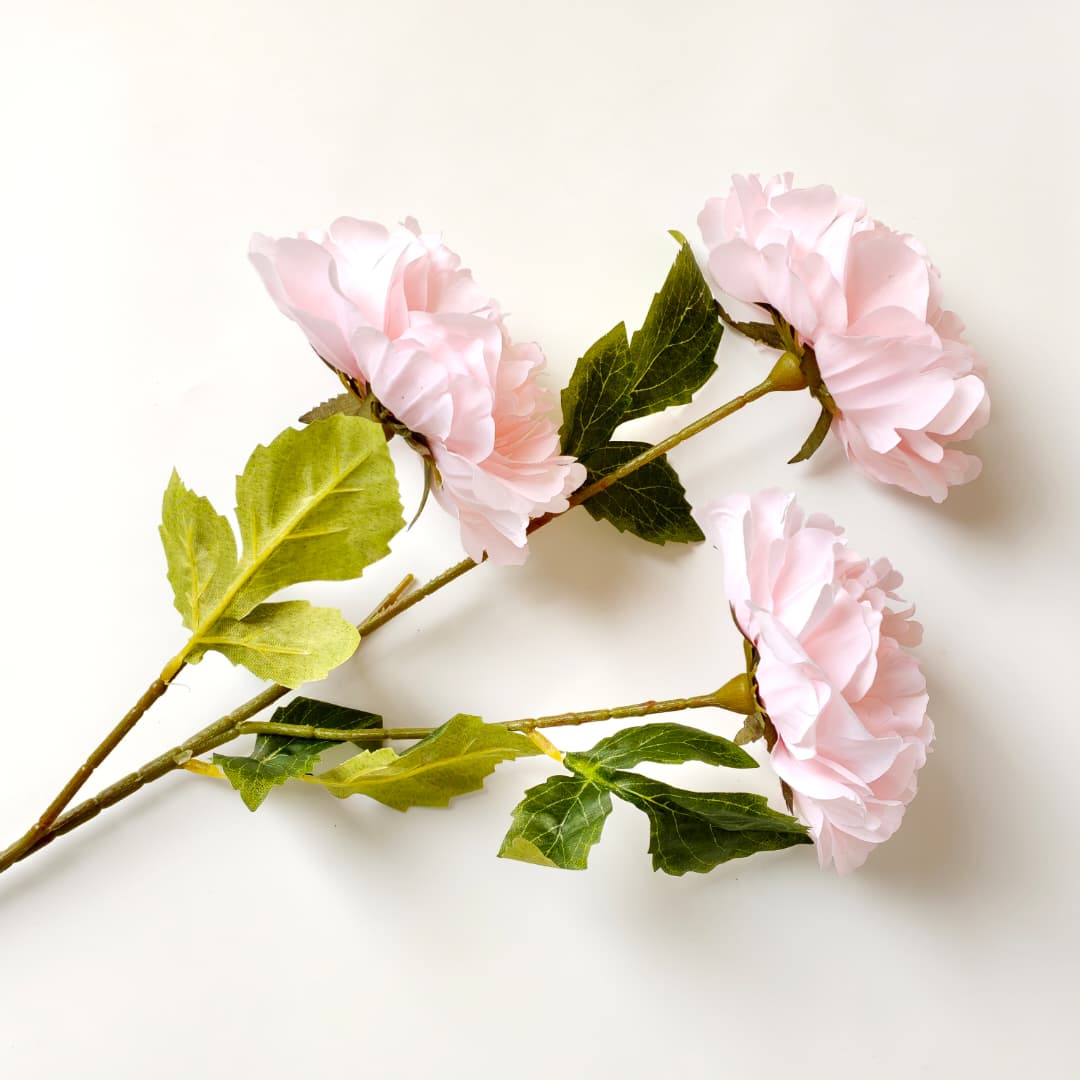 Dry Peony Spray 88cm x 3 | Tall Flowers