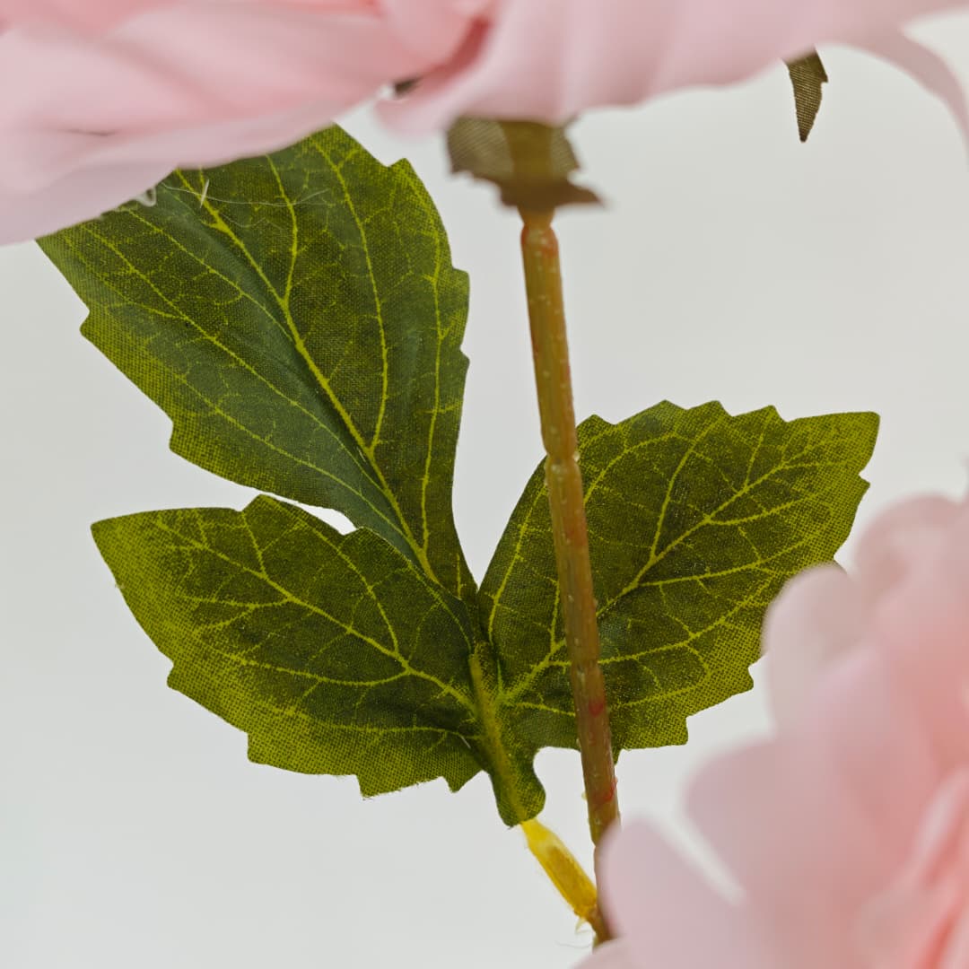 Dry Peony Spray 88cm x 3 | Tall Flowers