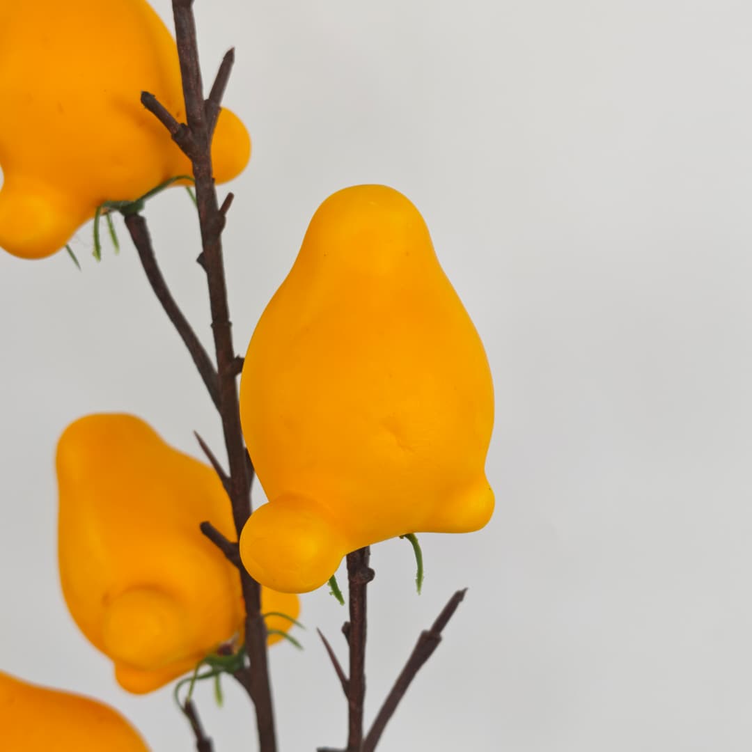 Solanum Mammosum x 6 (79cm)-Yellow | Tall Flowers