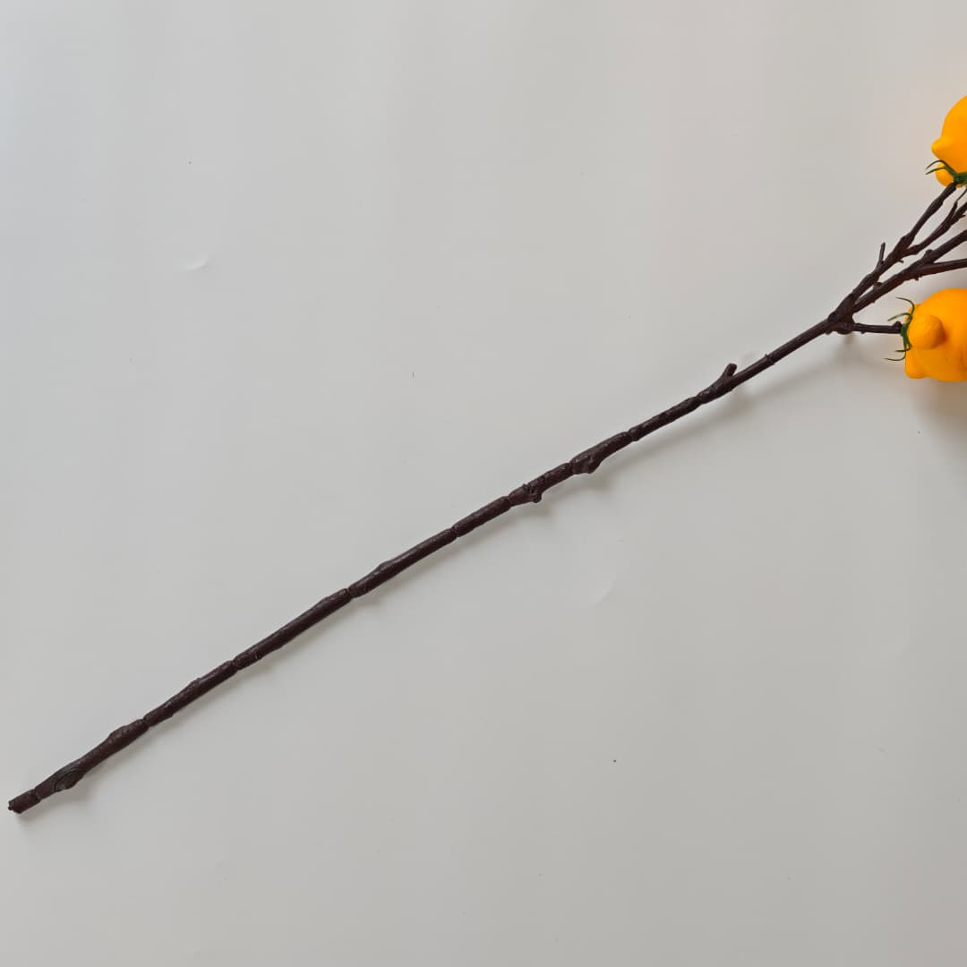 Solanum Mammosum x 6 (79cm)-Yellow | Tall Flowers