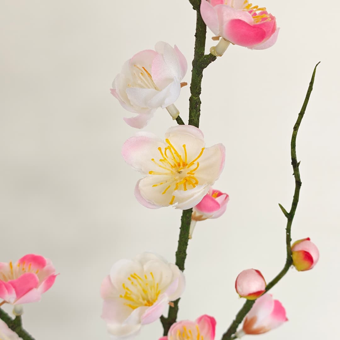 Plum Blossom (115cm) 梅花 | Tall Flowers