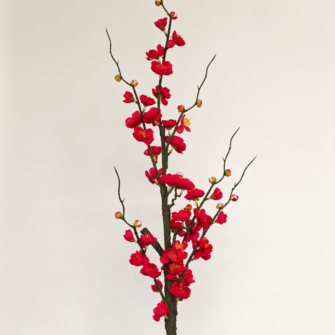 Plum Blossom (115cm) 梅花 | Tall Flowers