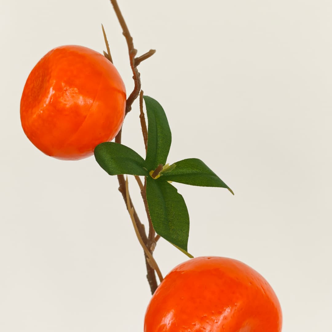 Mandarin Orange x 2 (40cmH) 橘子-Orange | Tall Flowers