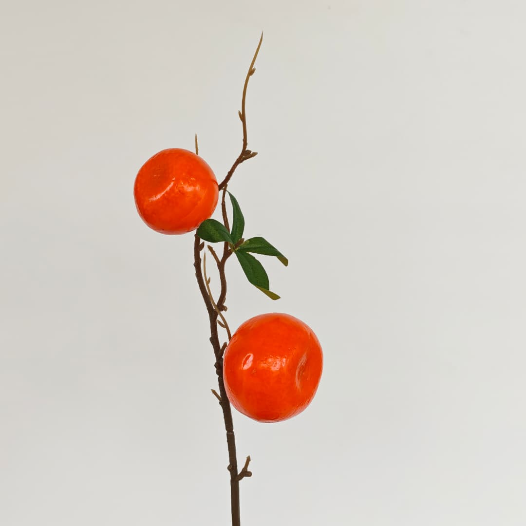 Mandarin Orange x 2 (40cmH) 橘子-Orange | Tall Flowers