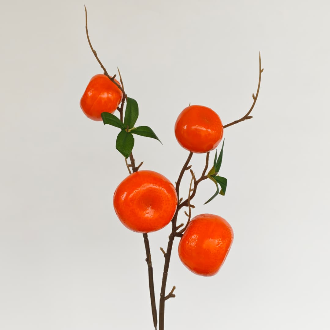 Mandarin Orange x 2 (40cmH) 橘子-Orange | Tall Flowers