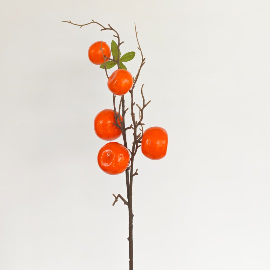 Mandarin Orange x 5 (80cmH) 橘子-Orange | Tall Flowers