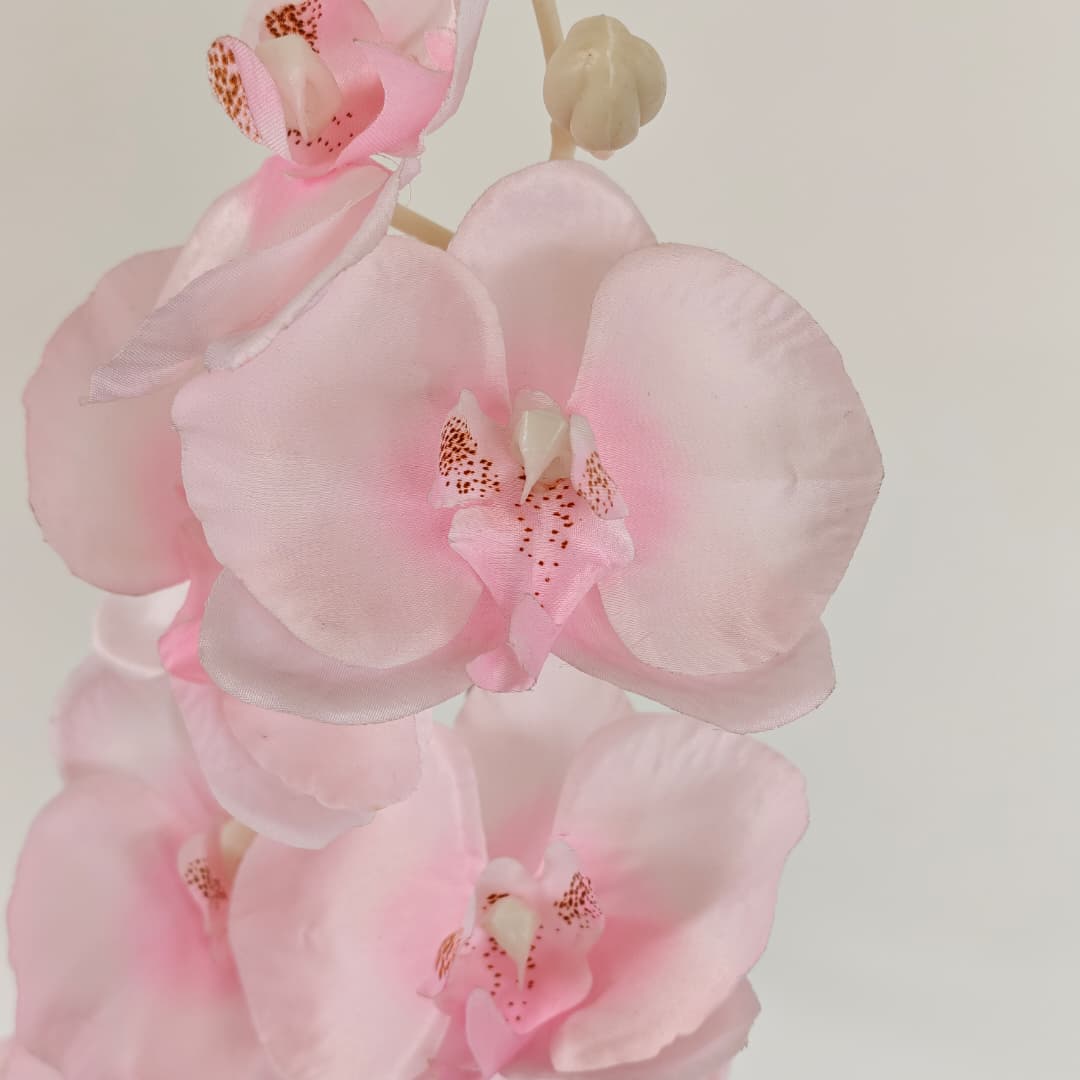 Butterfly Orchid x 9 (92cm) | Tall Flowers